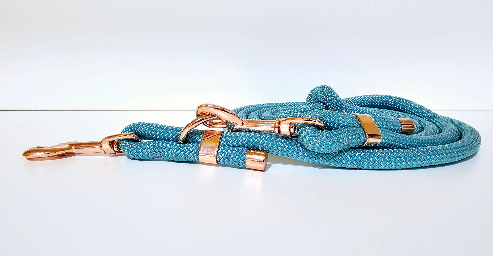 Tau-Hundeleine "hellblau/rosegold"