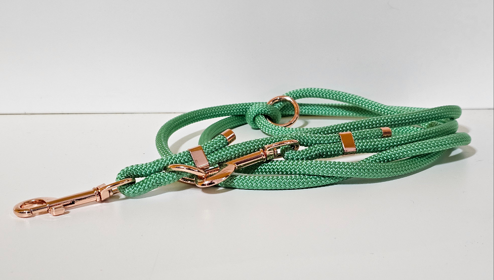 Tau-Hundeleine "mint/rosegold"