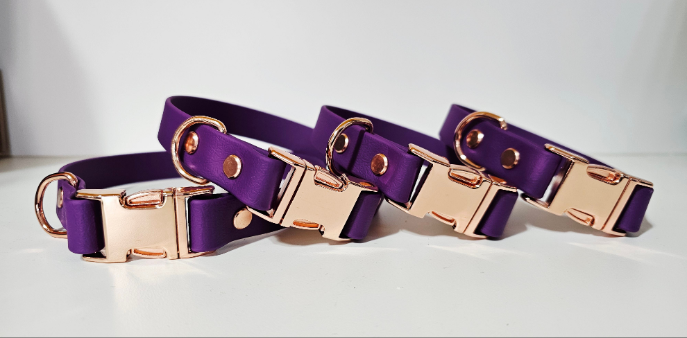 Biothane Halsband "lila"