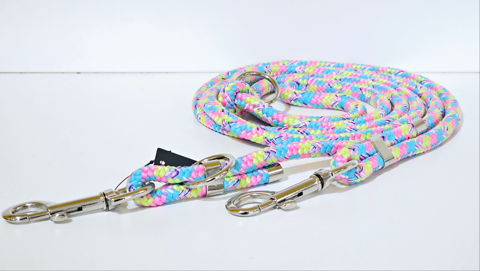 Tau-Hundeleine "bunt/silber"