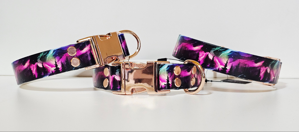 Biothane Halsband "Nordlichter"