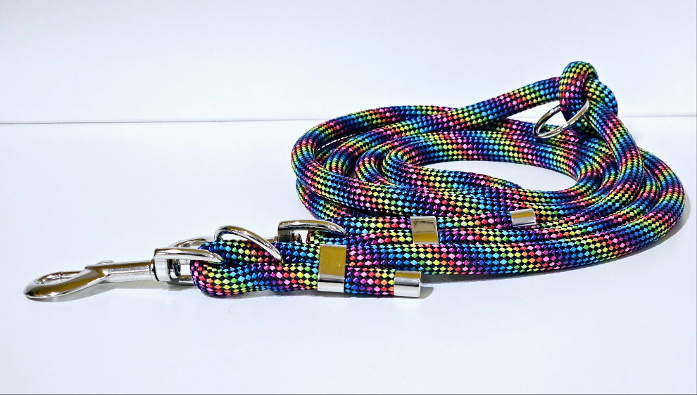 Tau-Hundeleine "rainbow/silber"