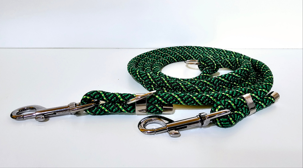 Tau-Hundeleine "Frog/silber"