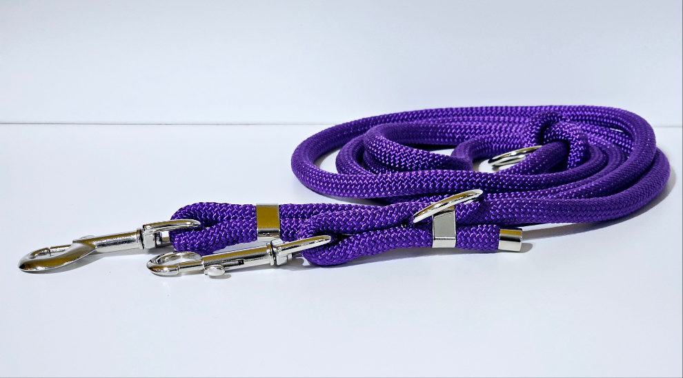 Tau-Hundeleine "lila/silber"