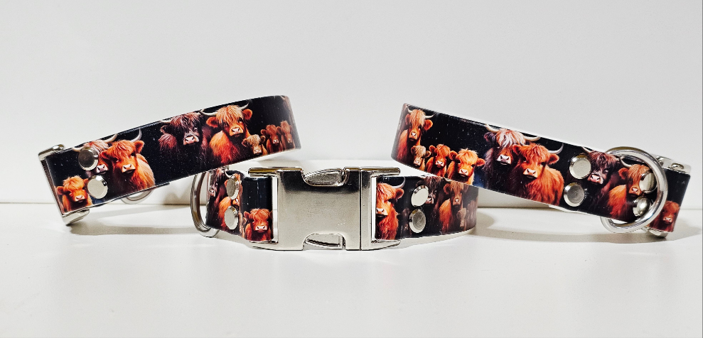 Biothane Halsband "Highland Cow"