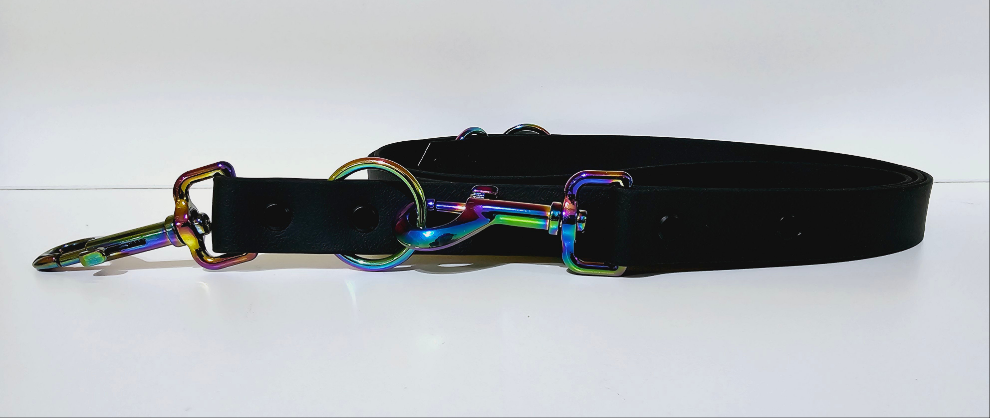 Biothane Hundeleine "schwarz/rainbow"