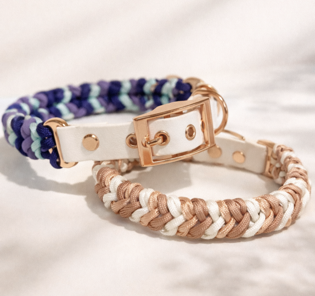 Paracord/Biothane Halsband "Romance"