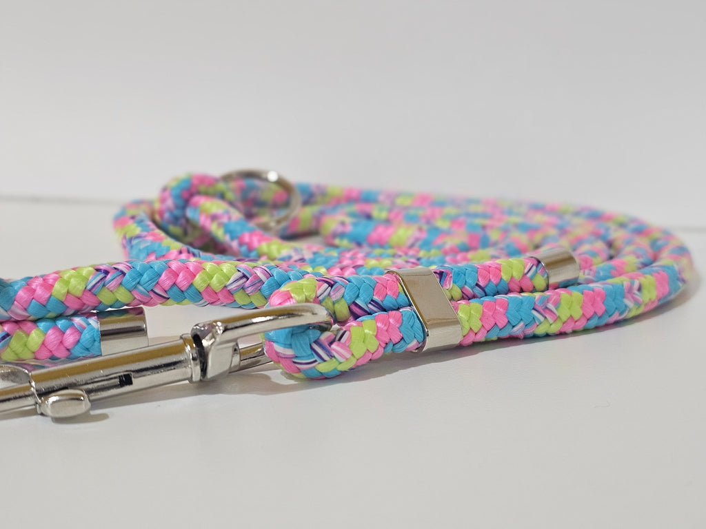 Tau-Hundeleine "bunt/silber"