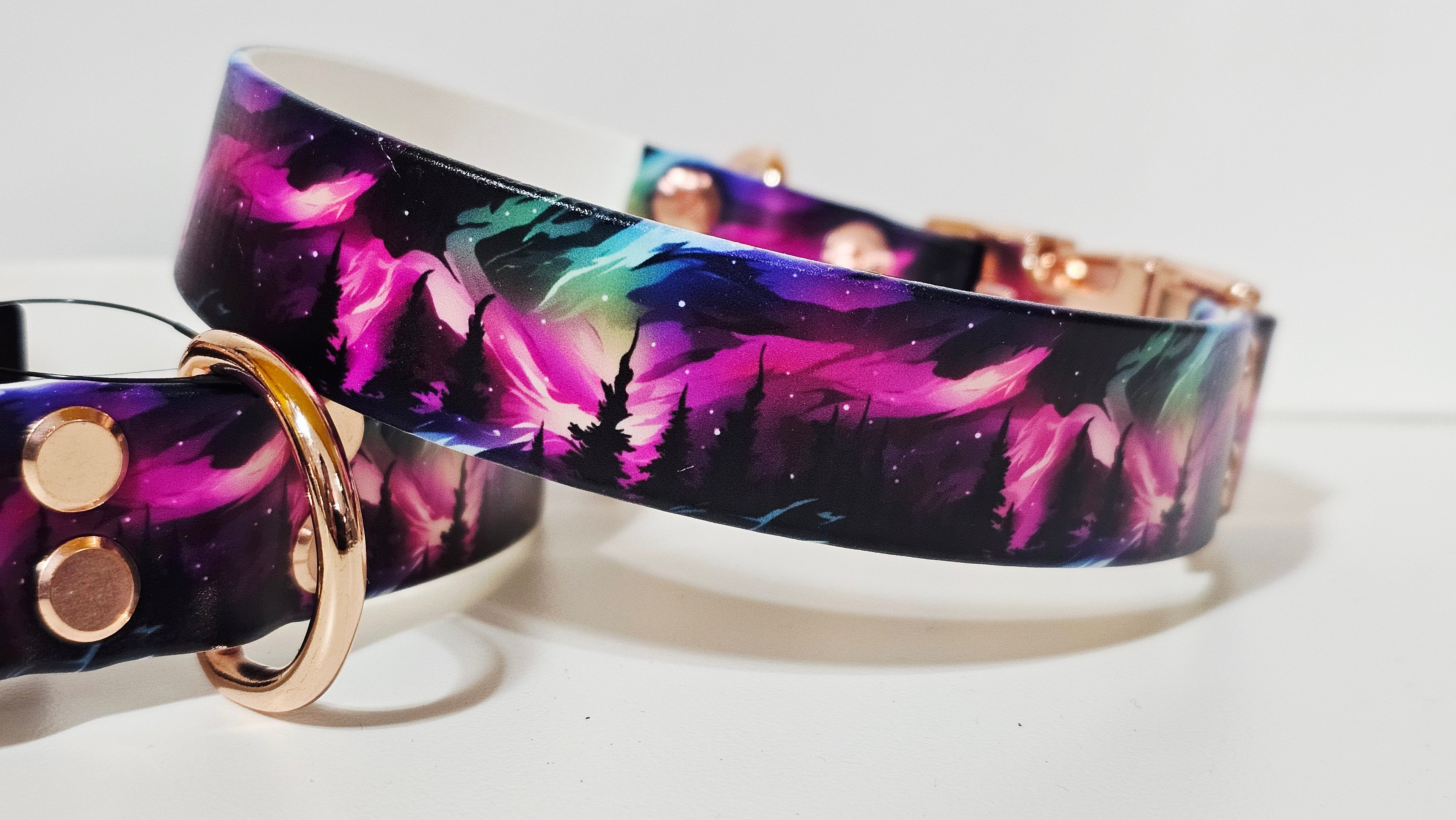 Biothane Halsband "Nordlichter"