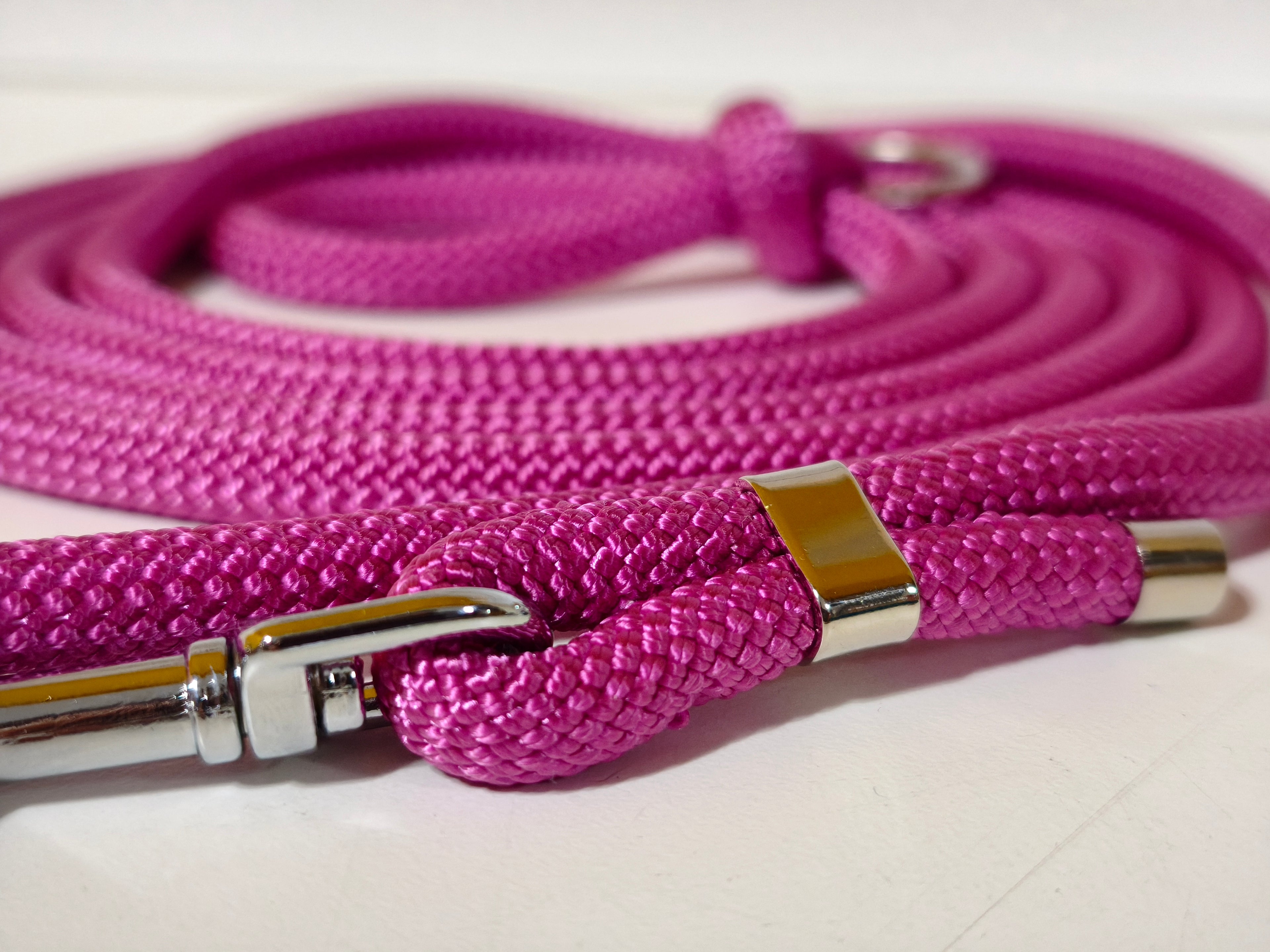 Tau-Hundeleine "beere"