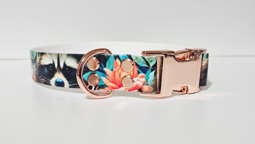 Biothane Halsband "Waschbär"