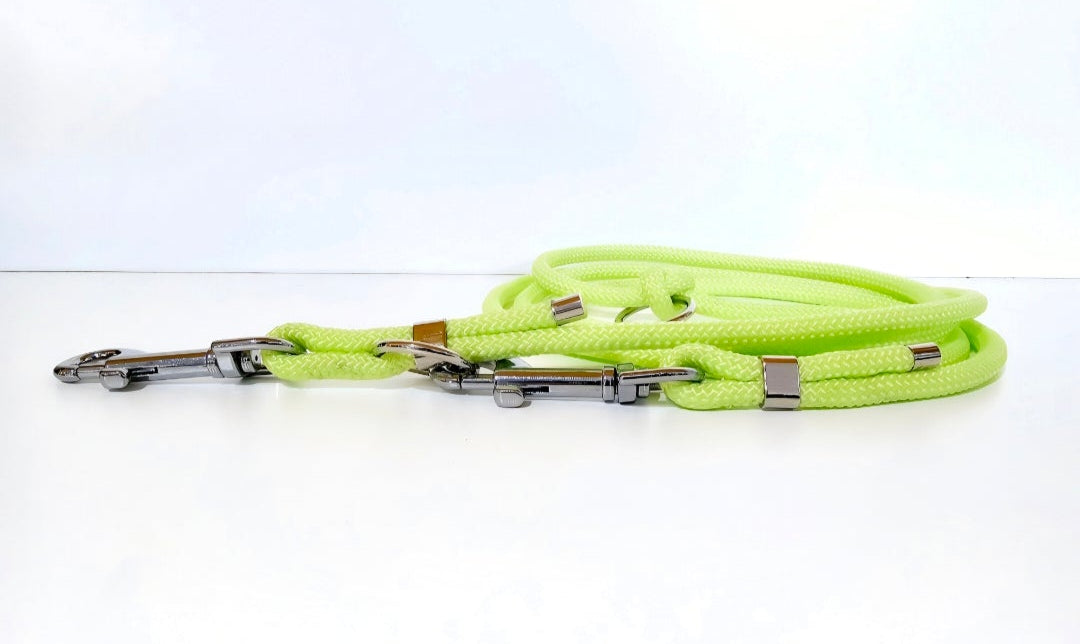 Tau-Hundeleine "light in the dark"