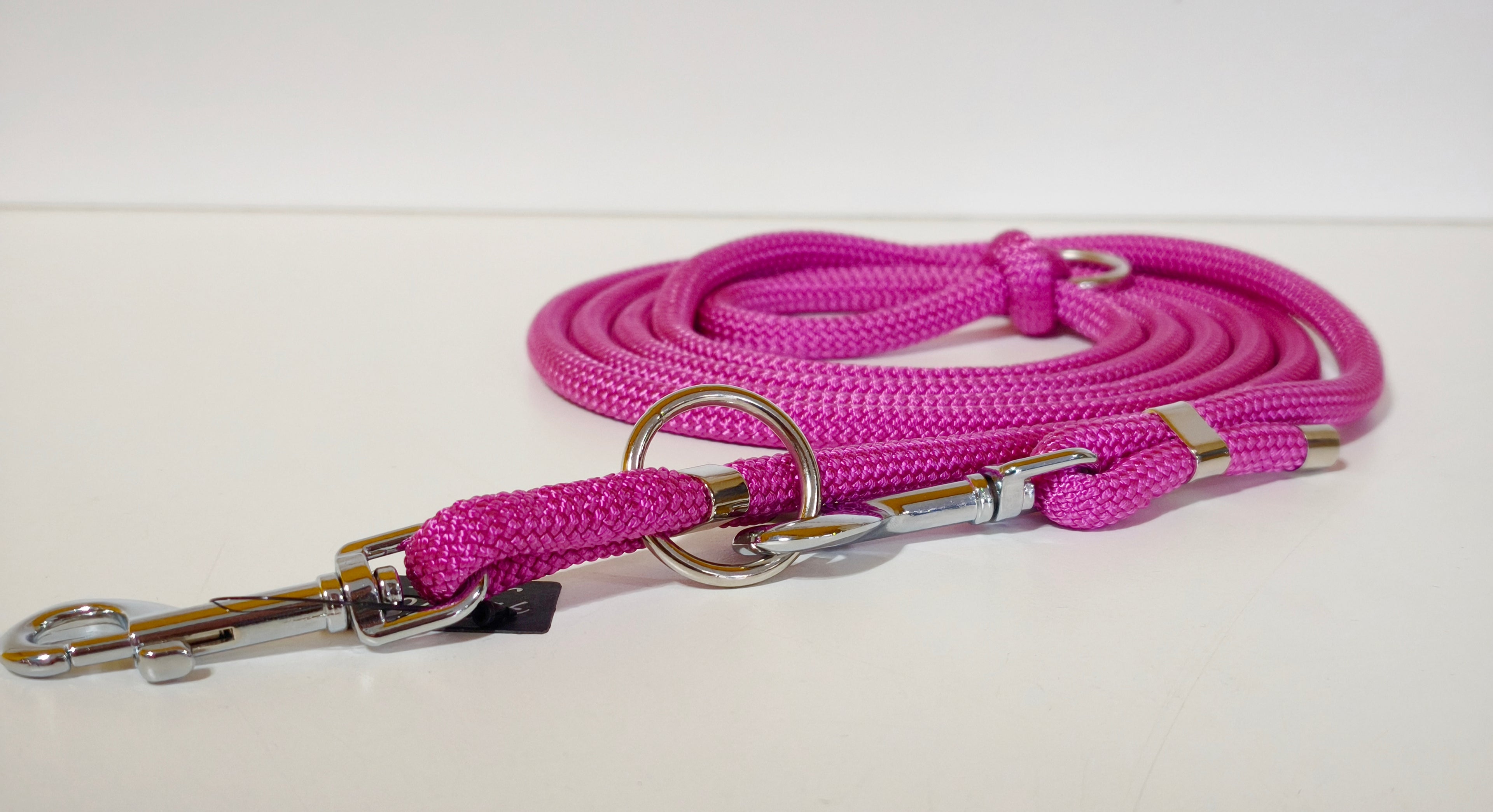 Tau-Hundeleine "beere"