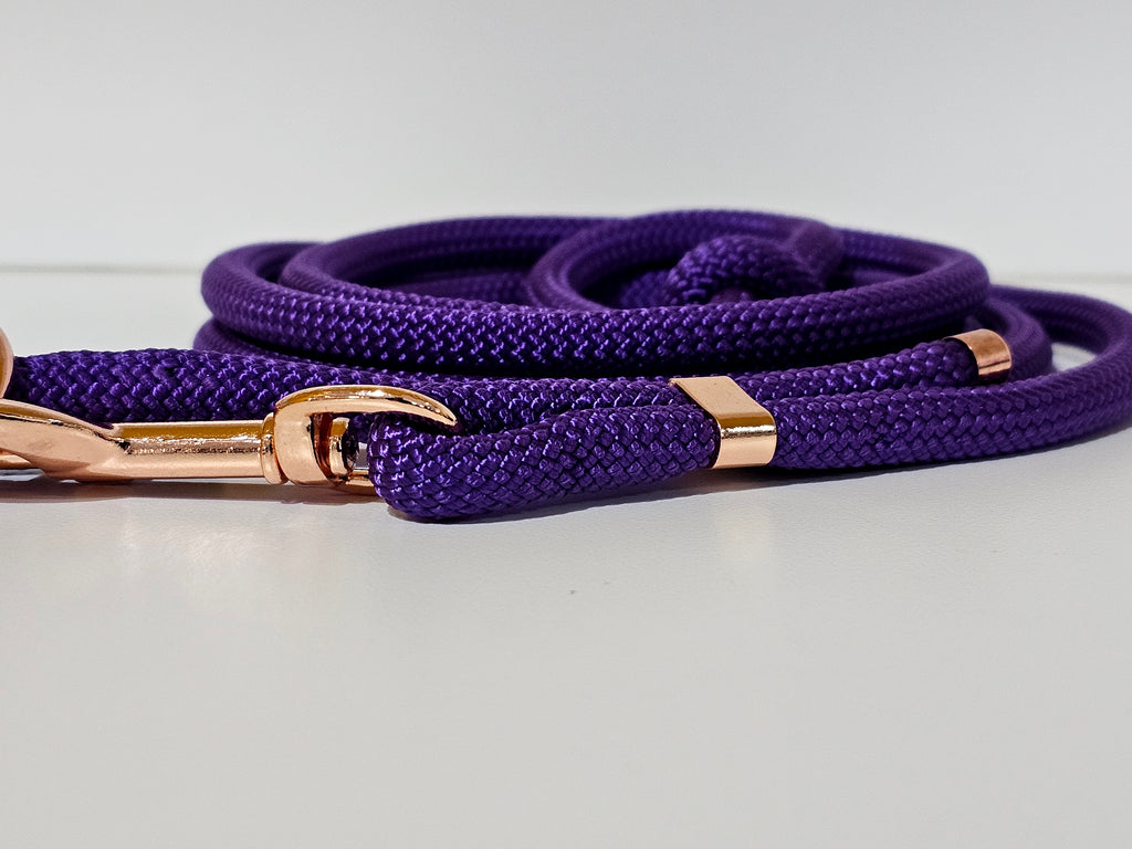 Tau-Hundeleine "lila/rosegold"
