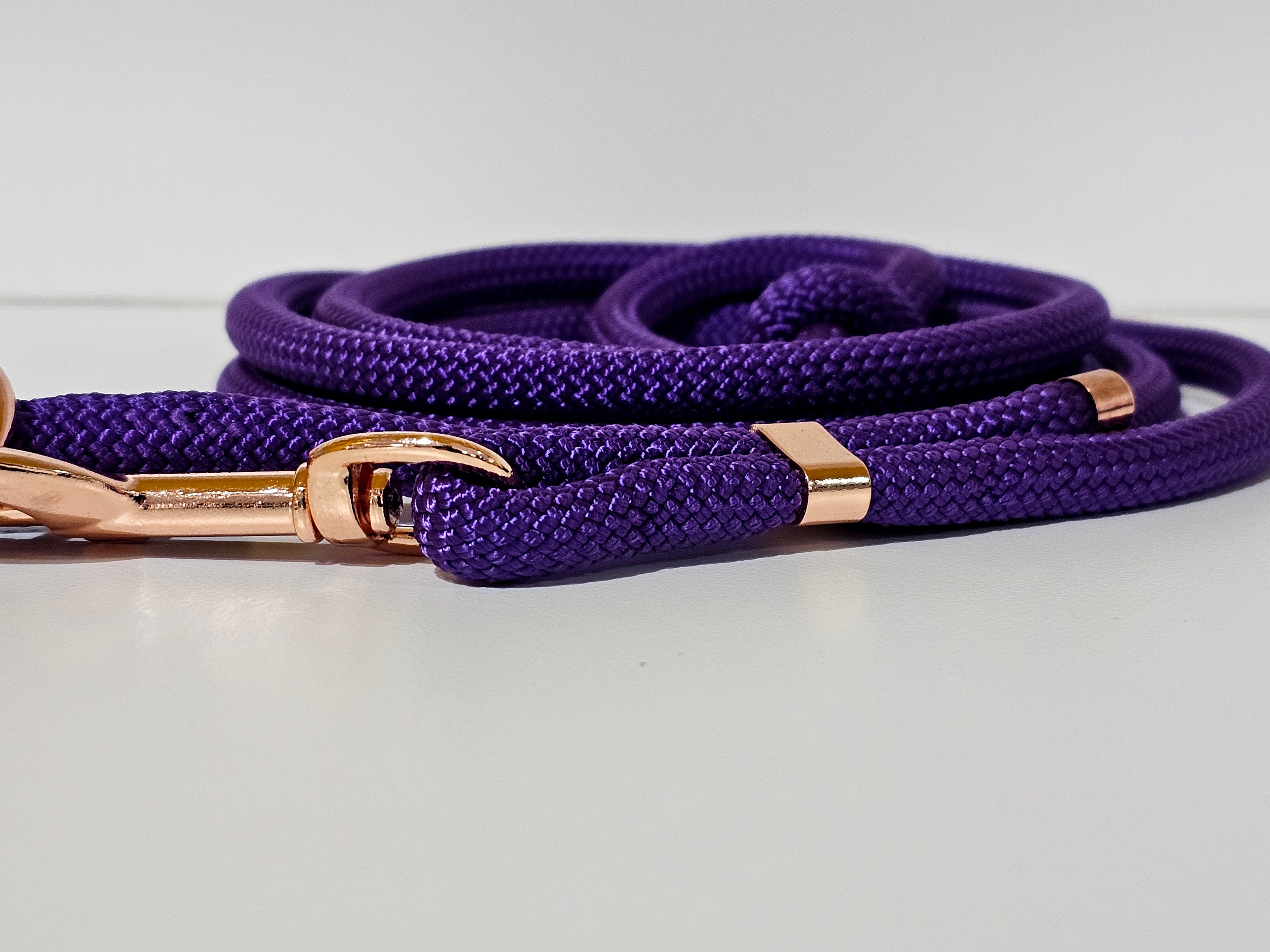 Tau-Hundeleine "lila/rosegold"