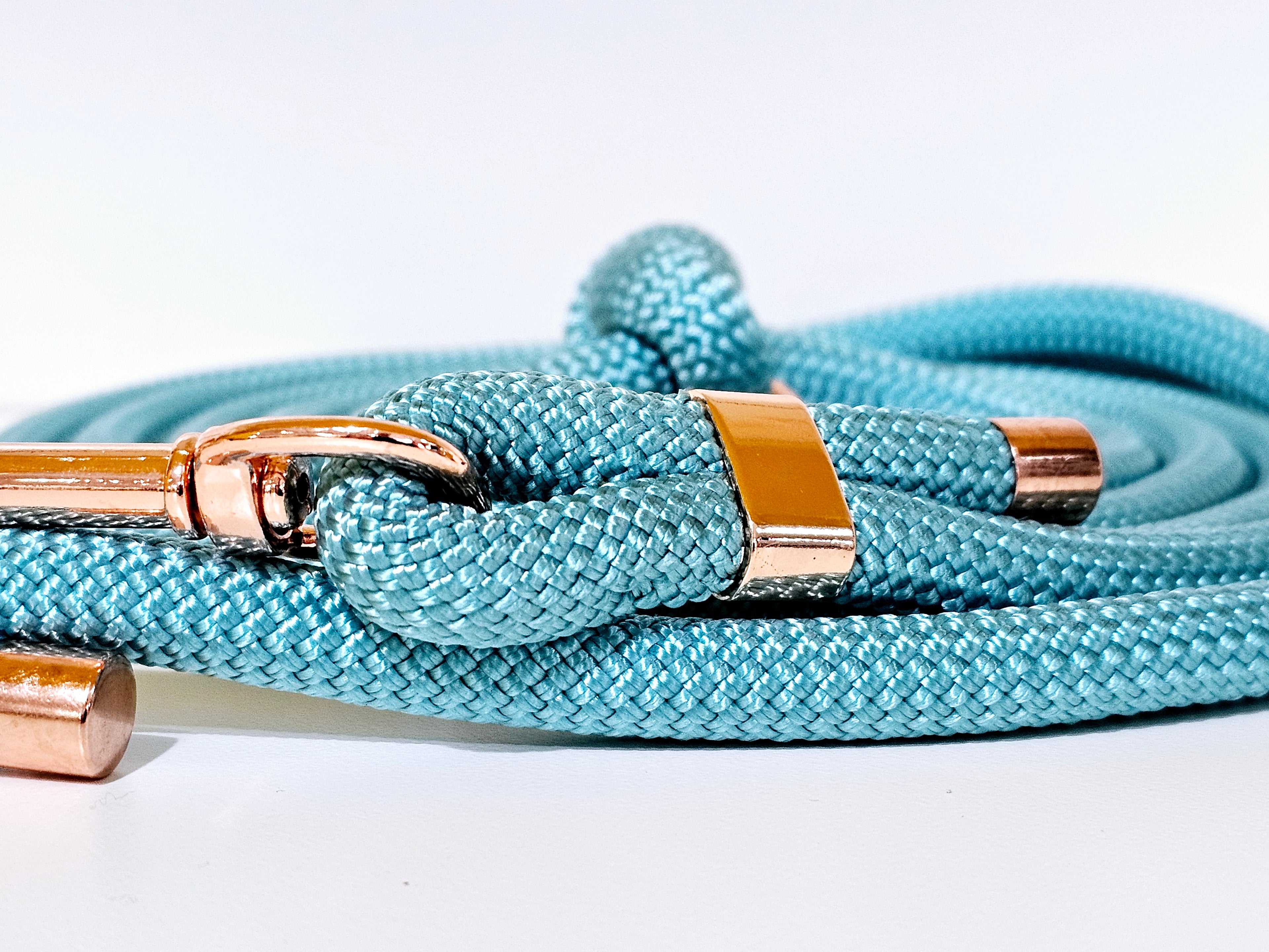 Tau-Hundeleine "hellblau/rosegold"