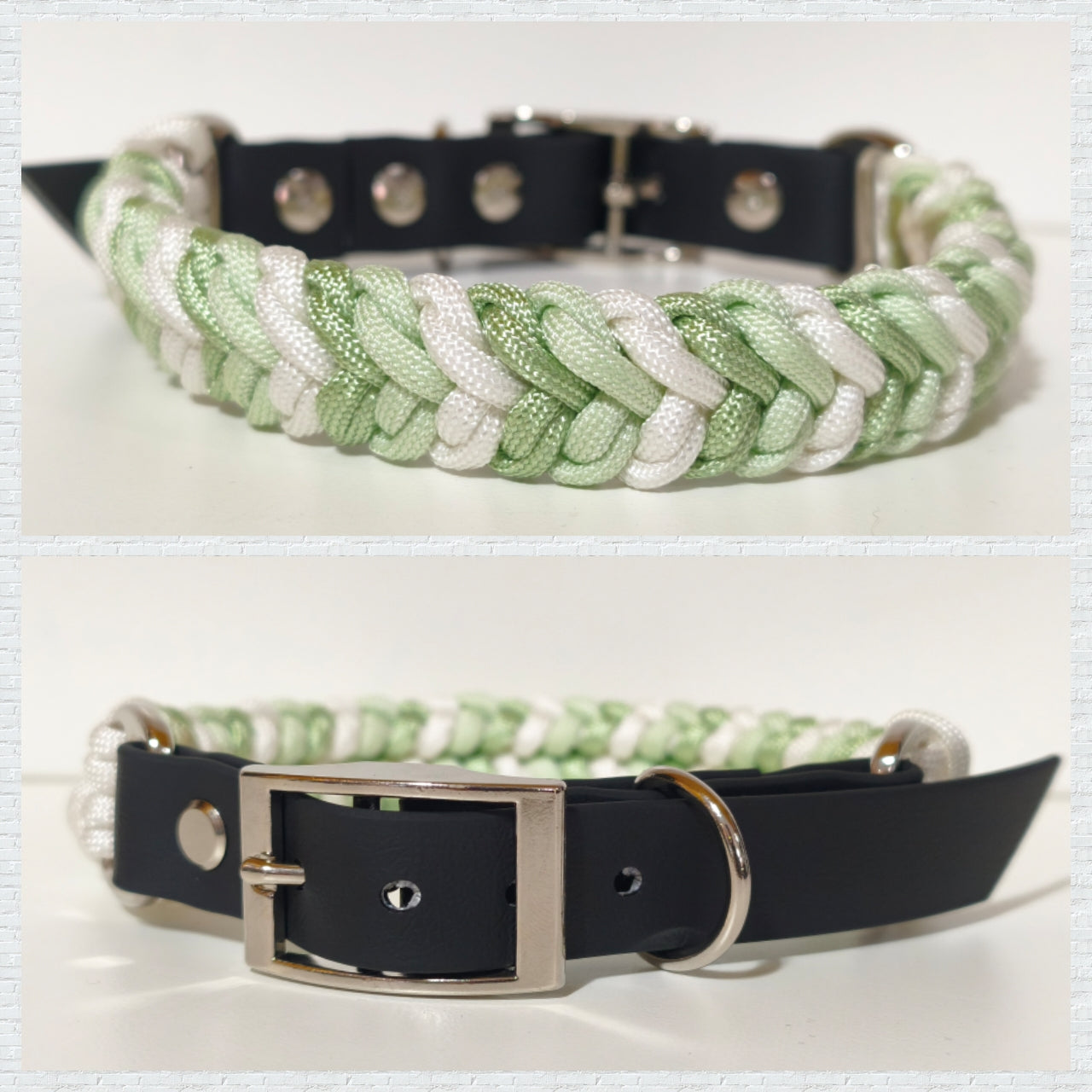 Paracord/Biothane Halsband "Green Pastel"