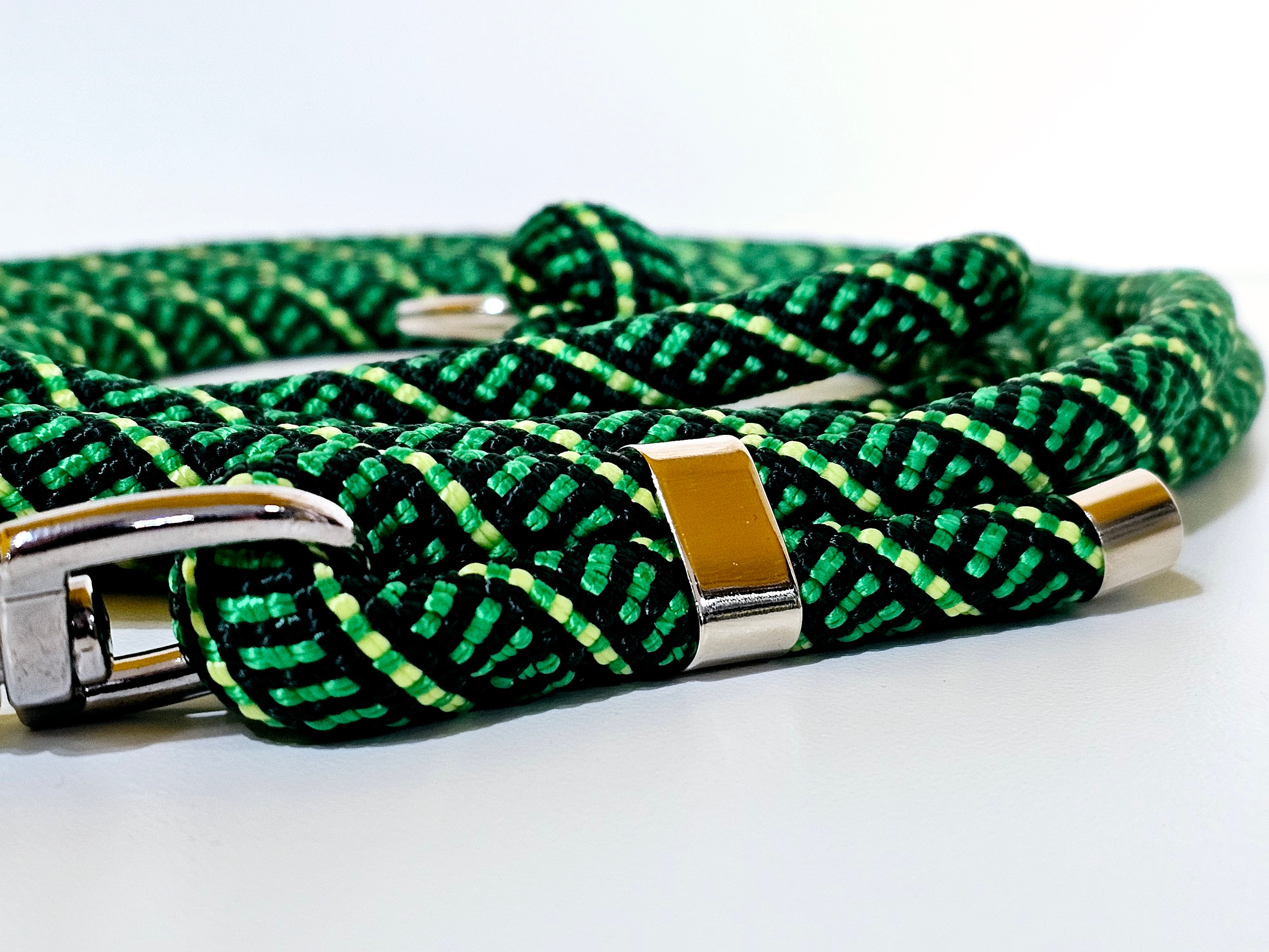 Tau-Hundeleine "Frog/silber"