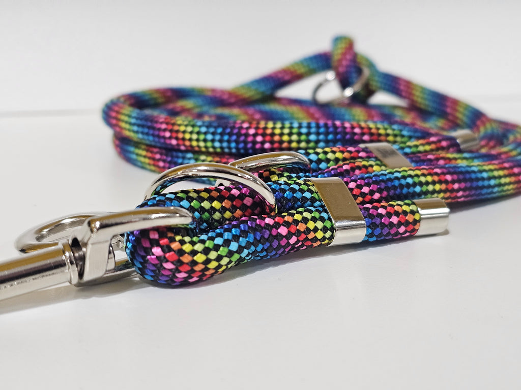 Tau-Hundeleine "rainbow/silber"