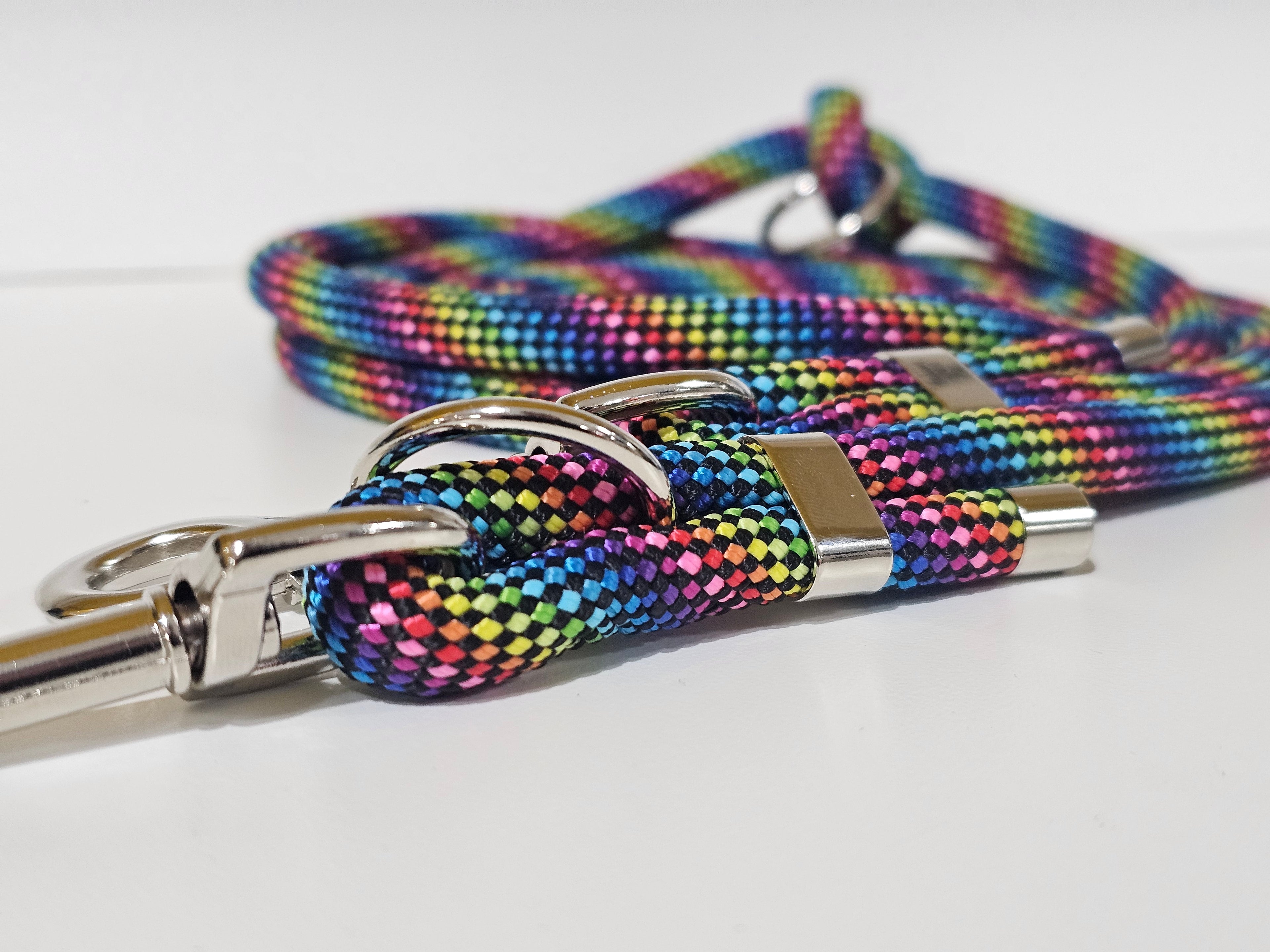 Tau-Hundeleine "rainbow/silber"