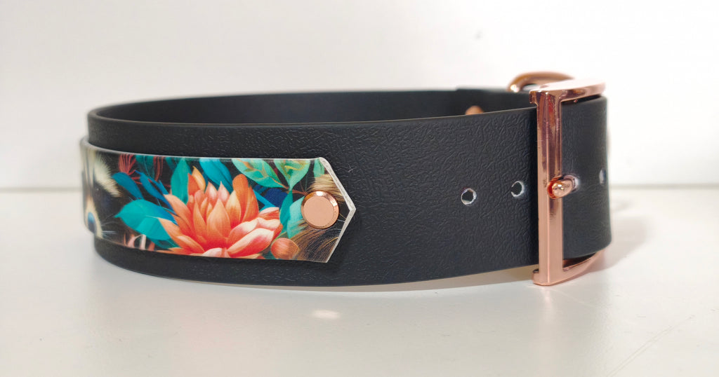 Biothane Halsband "Black/Racoon"
