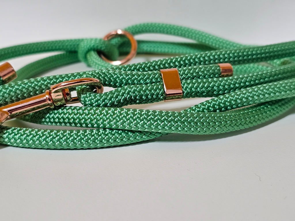 Tau-Hundeleine "mint/rosegold"