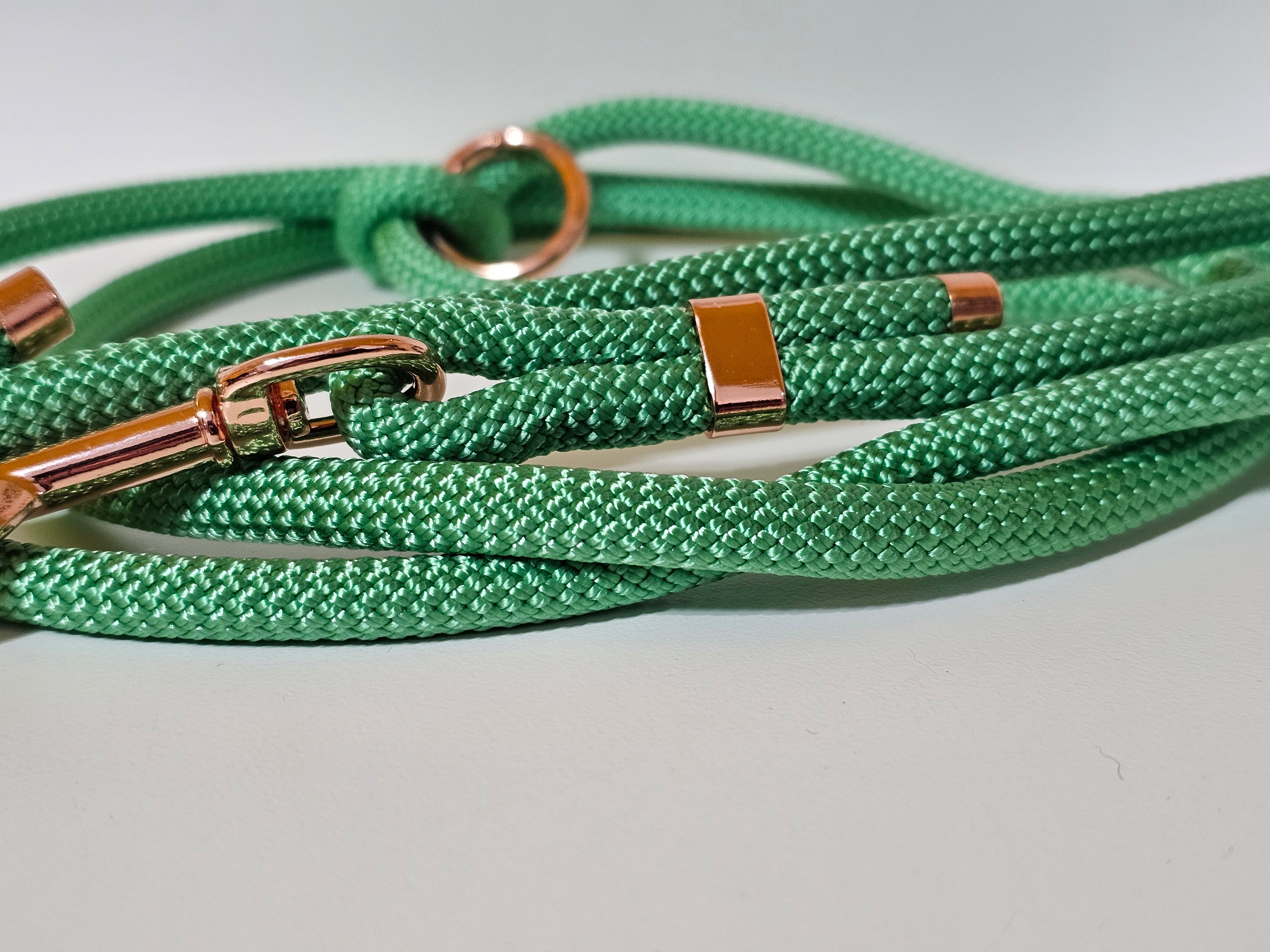 Tau-Hundeleine "mint/rosegold"