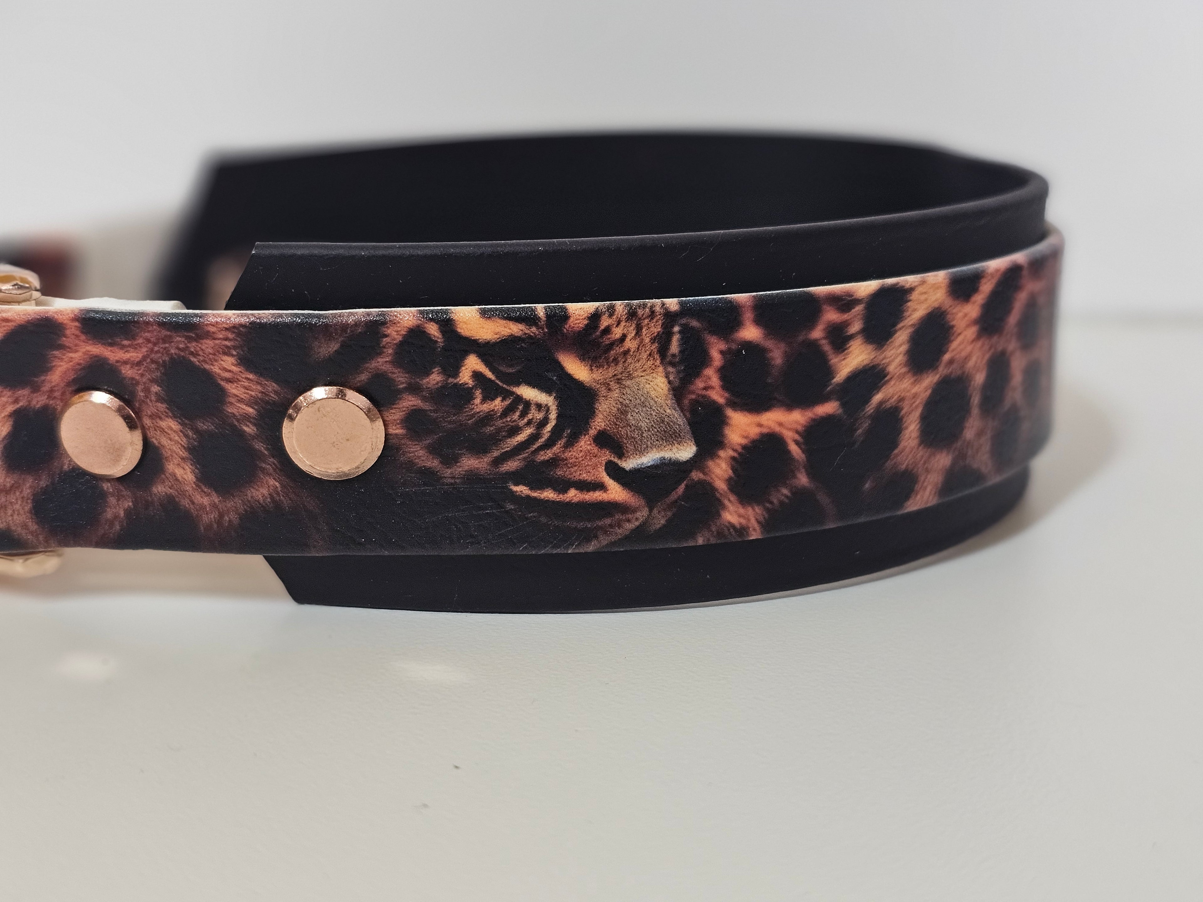 Biothane Halsband "Leo"