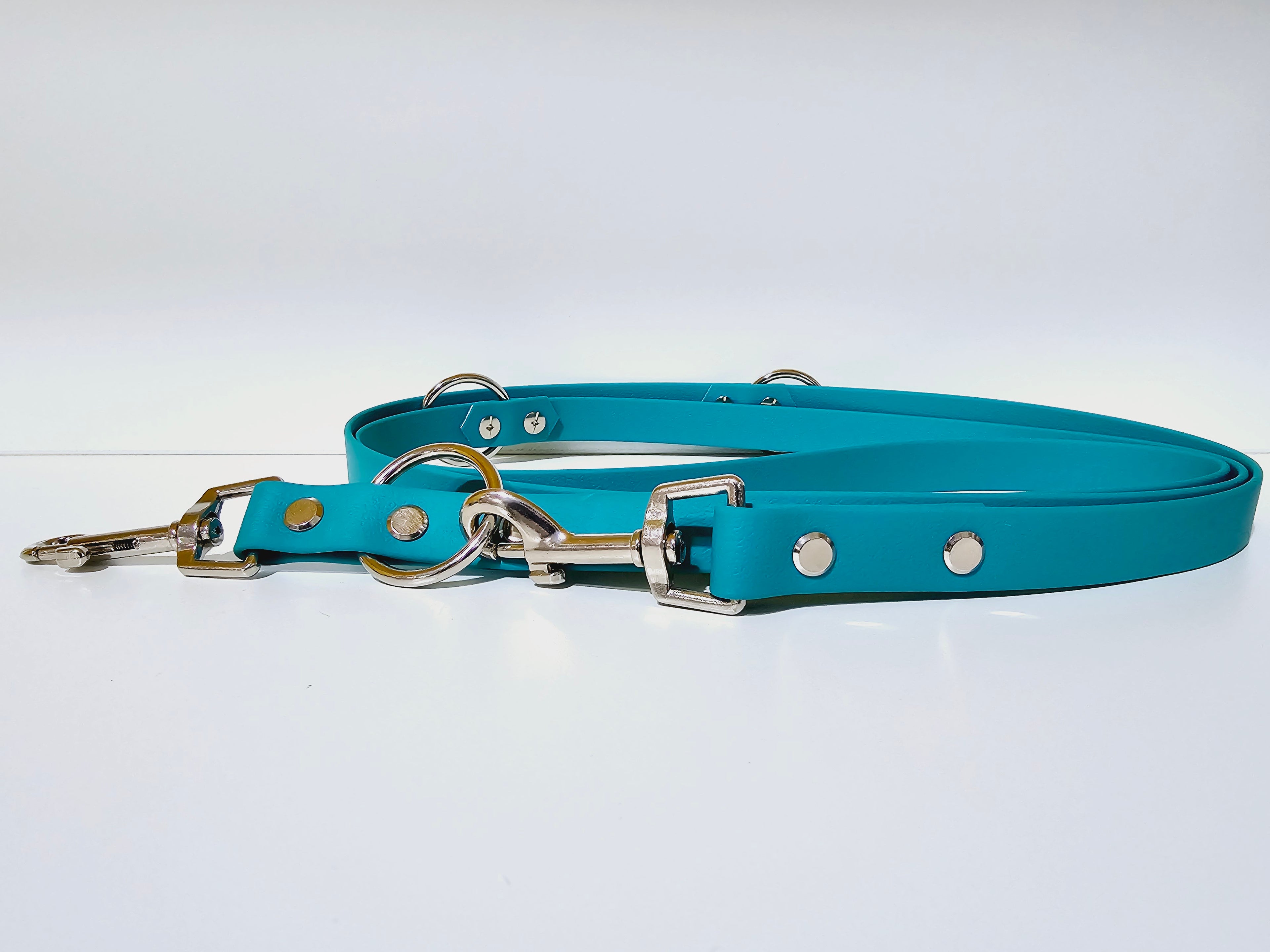 Biothane Hundeleine "Uni türkis"