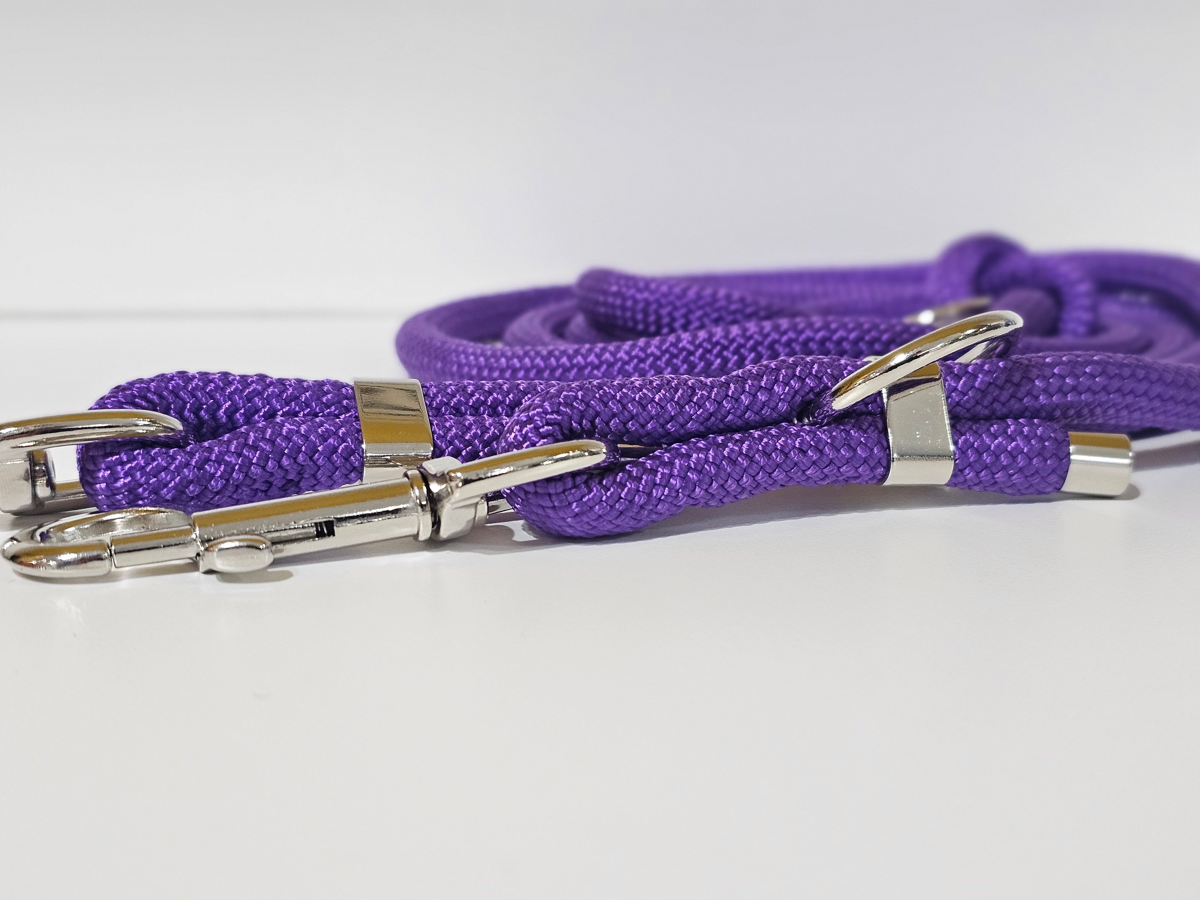 Tau-Hundeleine "lila/silber"