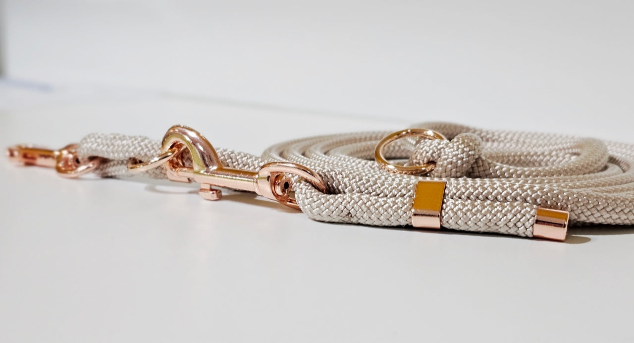 Tau-Hundeleine "Tan"