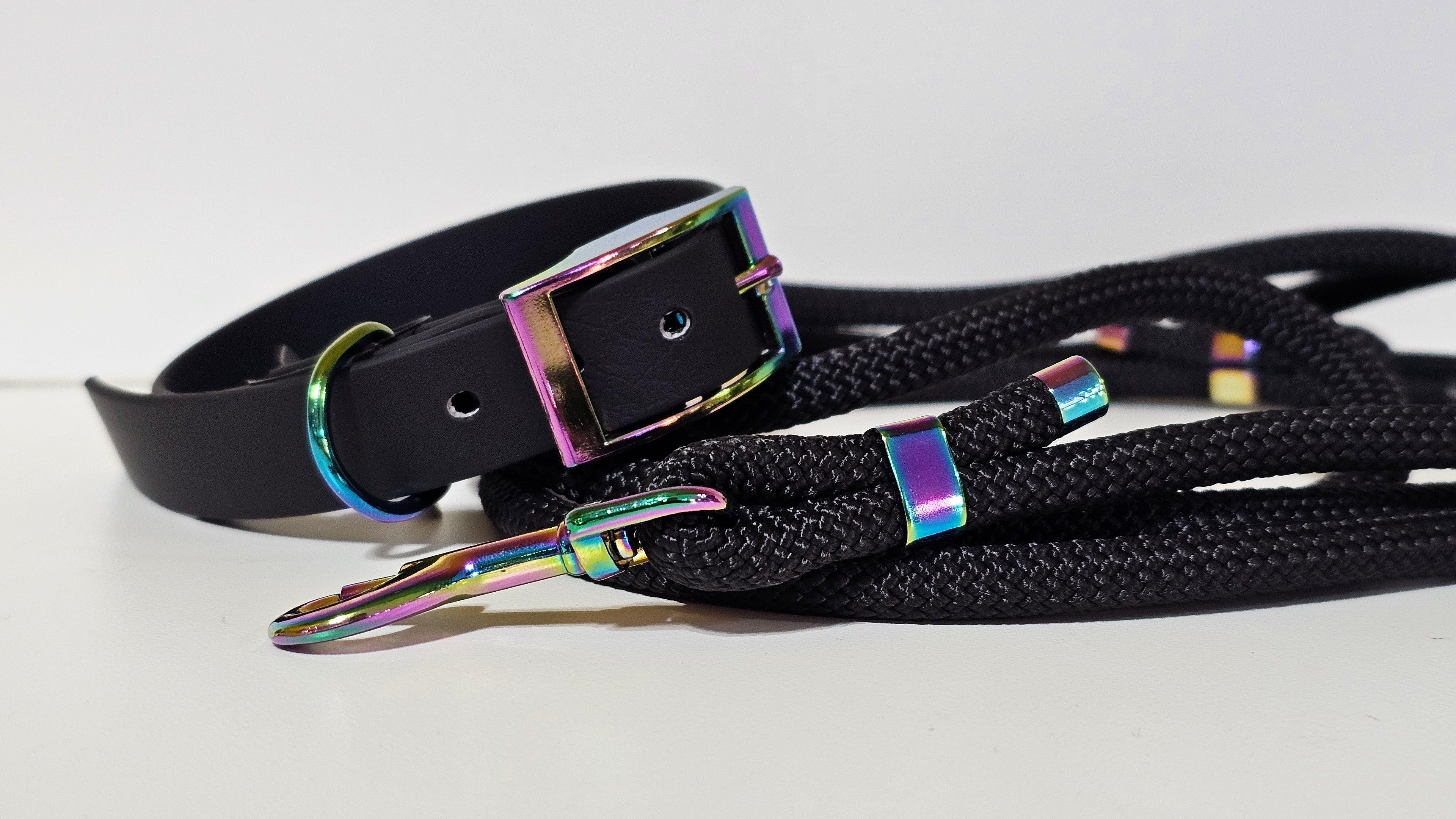 Tau-Hundeleine "schwarz"