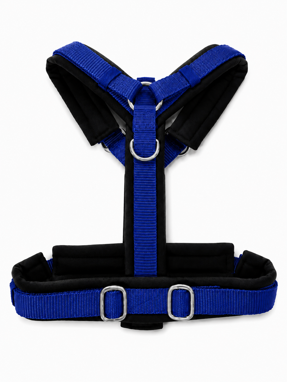 Geschirr Blau/Schwarz
