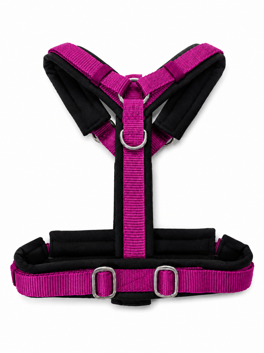 Geschirr Magenta/Schwarz