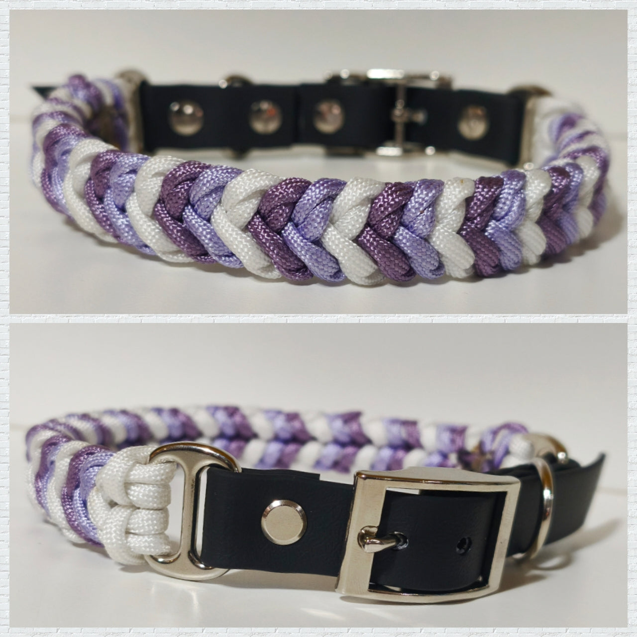 Paracord/Biothane Halsband "Purple"