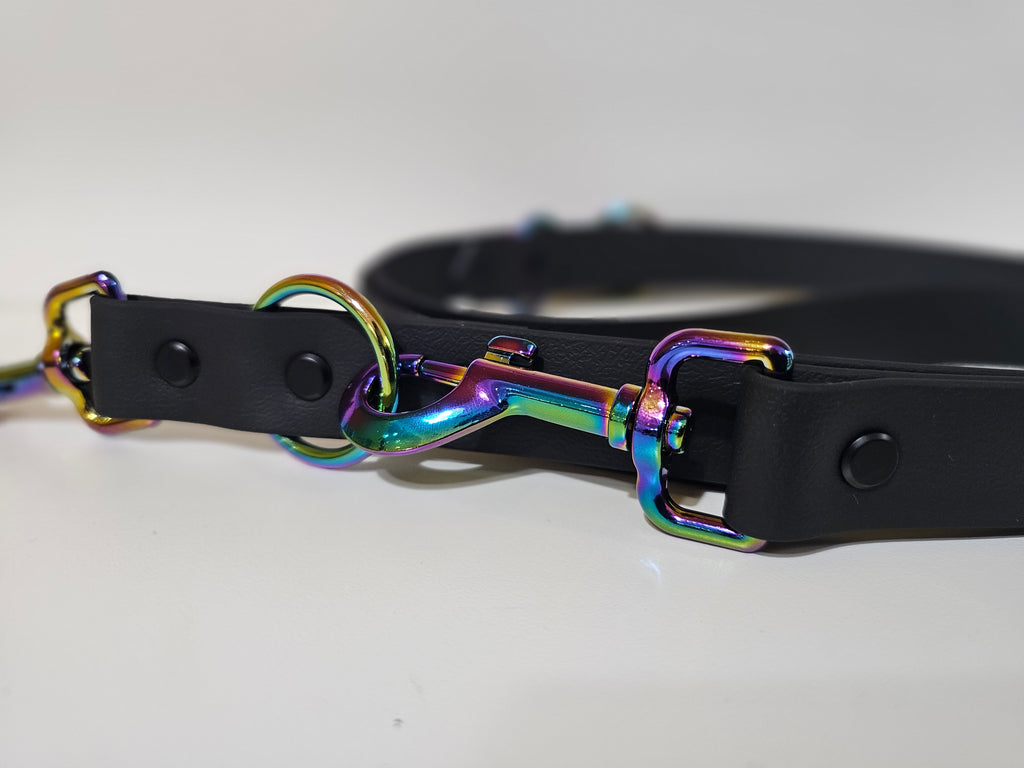 Biothane Hundeleine "schwarz/rainbow"